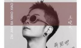 再见吧喵小姐的背景,再见吧，喵小姐的温馨回忆与成长篇章