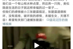 吃瓜的博主娱乐,吃瓜博主带你揭秘幕后真相