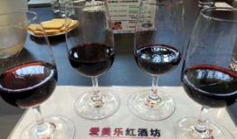 品酒会图片,佳酿佳肴，品味人生