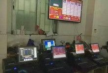 网络娱乐的图片,视觉盛宴背后的故事