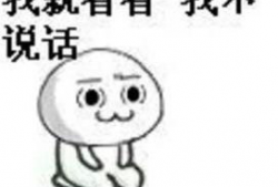 不要说话 创作背景