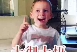 小网红表情包,趣味横生的网络文化现象