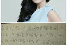 娱乐圈明星的字,璀璨星光下的传奇人生