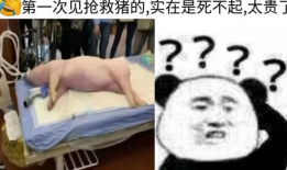 救救我搞笑图,笑出腹肌的瞬间，快来拯救你的欢乐细胞！