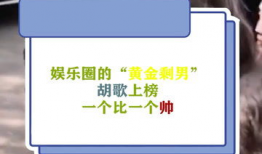 娱乐圈剩男,青春不再，转型之路漫漫