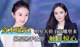 娱乐圈 工资,明星收入背后的真相