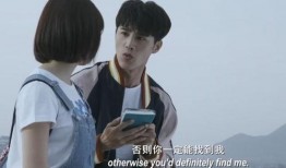 岁月忽已暮电视剧演员,演绎人生百态，共赴情感旅程