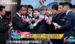 娱乐圈 工资,明星收入背后的真相