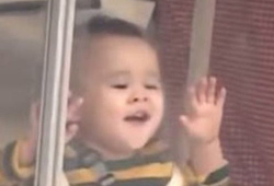 救救我搞笑图,笑出腹肌的瞬间，快来拯救你的欢乐细胞！