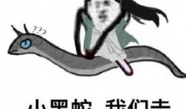 司命星君表情包,揭秘古代星君的趣味一面