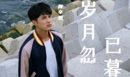 岁月忽已暮电视剧演员,演绎人生百态，共赴情感旅程