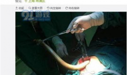 女主播琪琪拿黄鳝视频,揭秘网络直播的暗流涌动