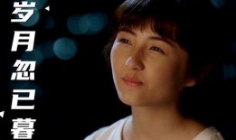 岁月忽已暮电视剧演员,演绎人生百态，共赴情感旅程
