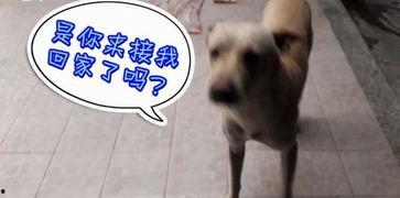 每天看娱乐吃瓜的说说,跟随热点，畅享娱乐圈风云变幻